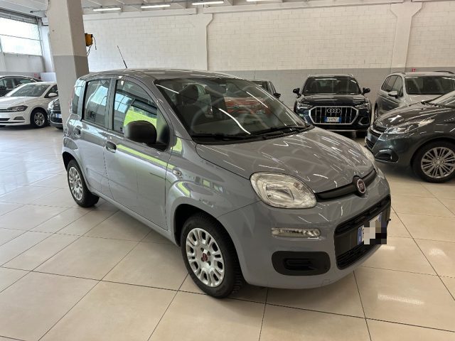 FIAT Panda 1.2 Easy ADATTA NEOPATENTATI Immagine 2