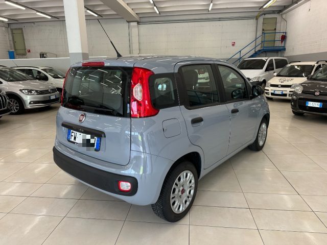 FIAT Panda 1.2 Easy ADATTA NEOPATENTATI Immagine 4