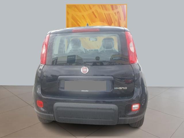 FIAT Panda 1.0 S&S Hybrid 70cv MY24 Immagine 2