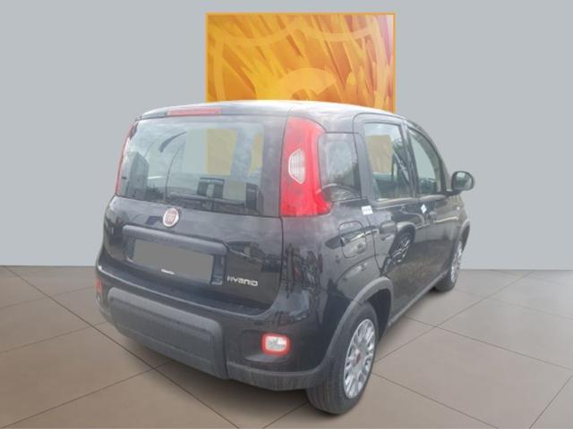 FIAT Panda 1.0 S&S Hybrid 70cv MY24 Immagine 4