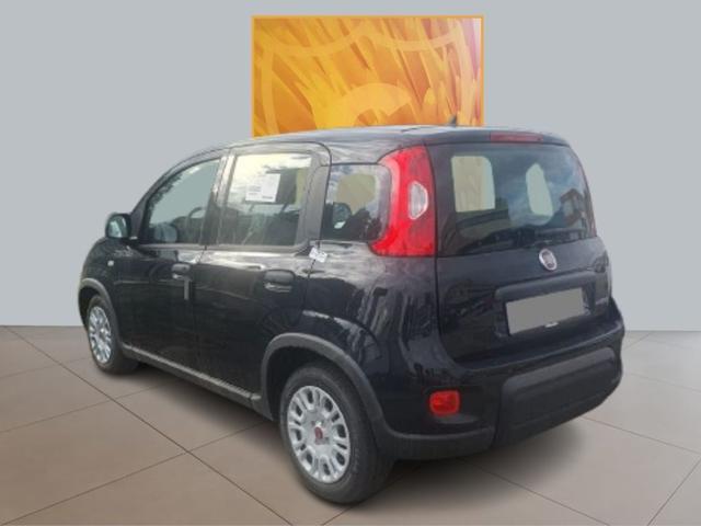 FIAT Panda 1.0 S&S Hybrid 70cv MY24 Immagine 1