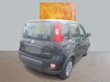 FIAT Panda 1.0 S&S Hybrid 70cv MY24