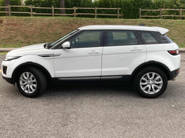 LAND ROVER Range Rover Evoque 2.0 eD4 5p. SE Dynamic ProMMo Immagine 4