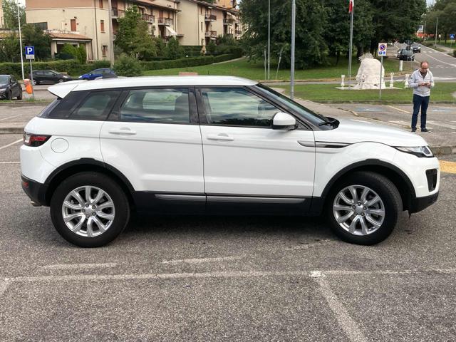 LAND ROVER Range Rover Evoque 2.0 eD4 5p. SE Dynamic ProMMo Immagine 3