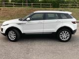 LAND ROVER Range Rover Evoque 2.0 eD4 5p. SE Dynamic ProMMo