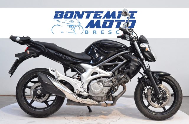 SUZUKI Gladius 650 2010 Immagine 0