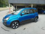 FIAT Panda 1.0 Hybrid Pandina INCENTIVI EURO 0-1-2-3-4-5