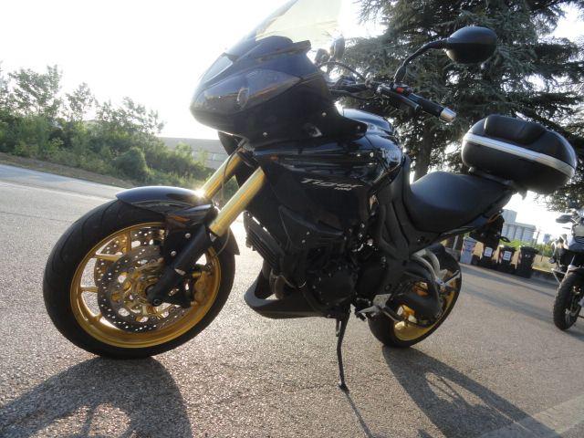 TRIUMPH Tiger 1050 TIGER 1050 Immagine 3