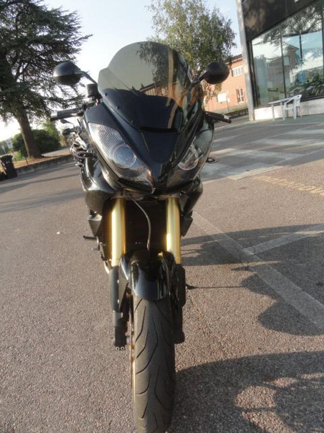 TRIUMPH Tiger 1050 TIGER 1050 Immagine 2