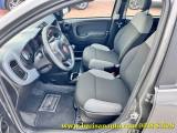 FIAT Panda 1.0 FireFly S&S Hybrid / Kit 5 Posti