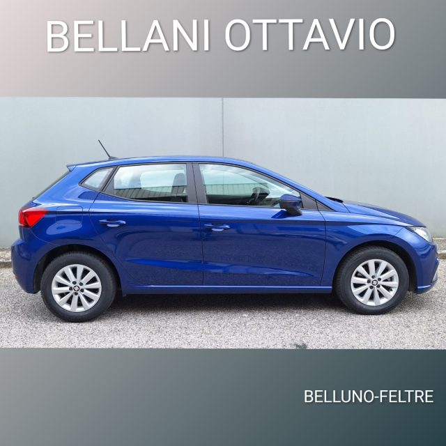 SEAT Ibiza 1.6 TDI 95 CV 5 porte Business Immagine 2