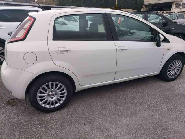 FIAT Punto 1.3 MJT II S&S 85 CV 5 porte Street Immagine 4