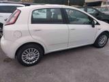 FIAT Punto 1.3 MJT II S&S 85 CV 5 porte Street