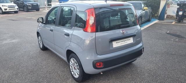 FIAT Panda 1.0 FireFly S&S Hybrid Immagine 2