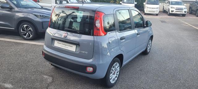 FIAT Panda 1.0 FireFly S&S Hybrid Immagine 3