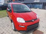 FIAT Panda 1.0 70cv Hybrid Panda My23