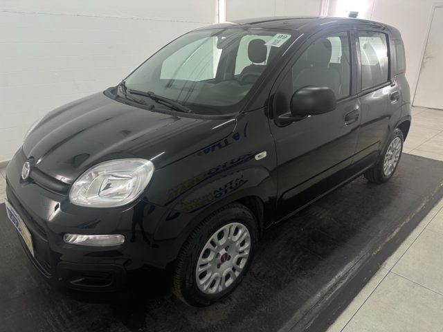 FIAT Panda 1.0 firefly hybrid s&s 70cv Immagine 0