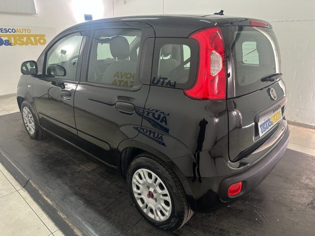 FIAT Panda 1.0 firefly hybrid s&s 70cv Immagine 1