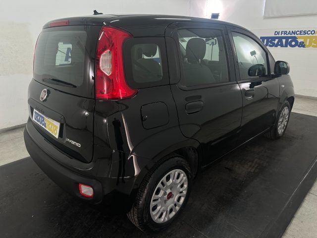 FIAT Panda 1.0 firefly hybrid s&s 70cv Immagine 3