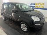 FIAT Panda 1.0 firefly hybrid s&s 70cv