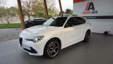 ALFA ROMEO Stelvio 2.2 Turbodiesel 210 CV AT8 Q4 Veloce