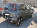 FIAT Panda Cross 1.0 FireFly S&S Hybrid