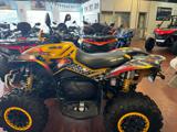 CAN-AM BRP Renegade 800 EFI 800 r g2