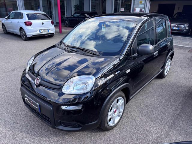 FIAT Panda 1.0 Hybrid 4 posti - KM ZERO Immagine 4