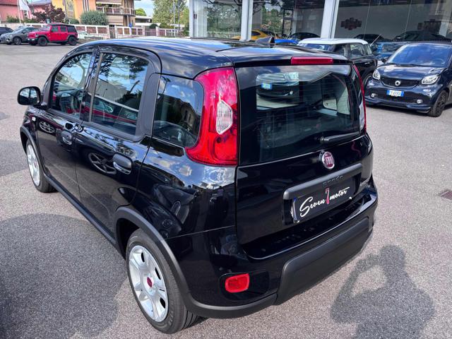 FIAT Panda 1.0 Hybrid 4 posti - KM ZERO Immagine 3