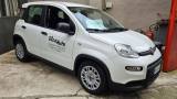 FIAT Panda Panda  NOLEGGIO DA € 29