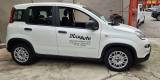 FIAT Panda Panda  NOLEGGIO DA ? 29