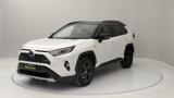 TOYOTA RAV 4 2.5 vvt-ie h Style awd-i 222cv e-cvt