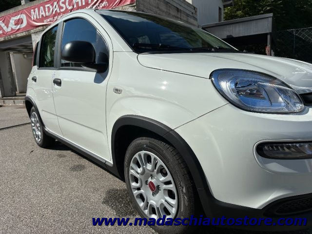 FIAT Panda 1.0 FireFly S&S Hybrid Immagine 3