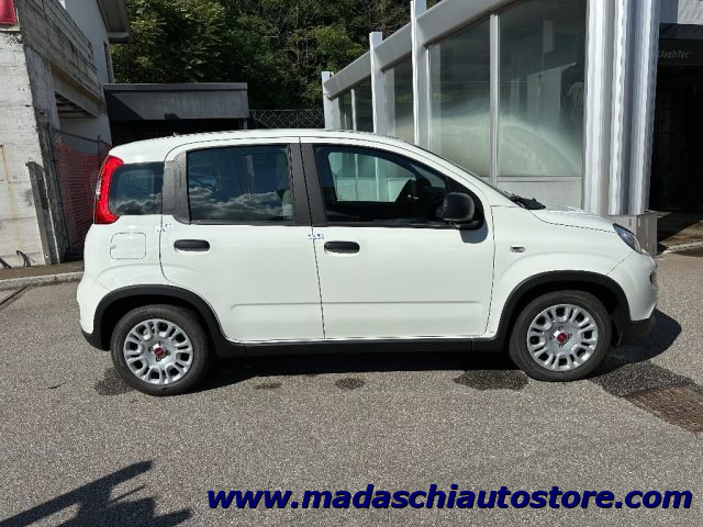 FIAT Panda 1.0 FireFly S&S Hybrid Immagine 2