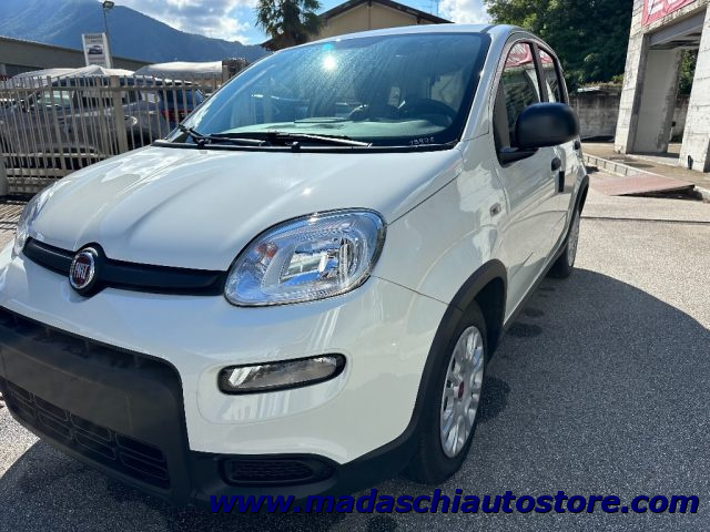 FIAT Panda 1.0 FireFly S&S Hybrid Immagine 1