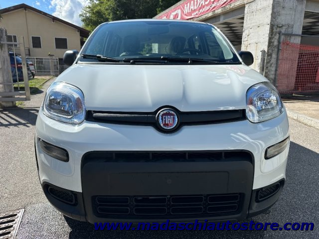 FIAT Panda 1.0 FireFly S&S Hybrid Immagine 0