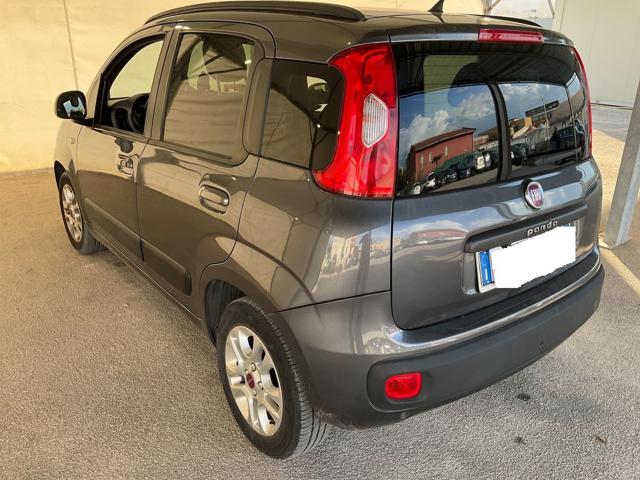 FIAT Panda 0.9 TwinAir Turbo S&S Lounge Immagine 2