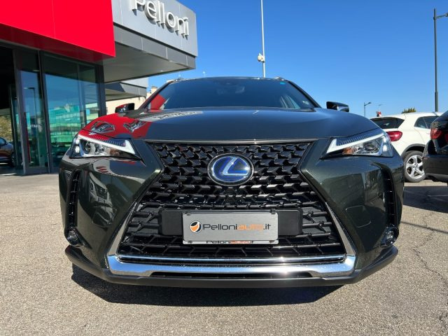 LEXUS UX 250h Hybrid Executive CVT KM CERTIFICATI - IVA ESPOSTA Immagine 1