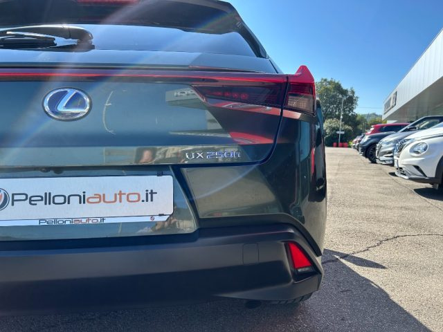 LEXUS UX 250h Hybrid Executive CVT KM CERTIFICATI - IVA ESPOSTA Immagine 4