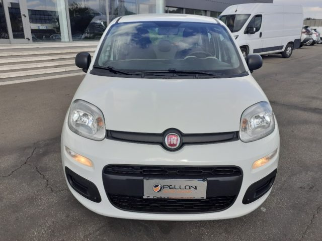 FIAT Panda 1.2 X NEOPATENTATI - GARANZIA - KM CERTIFICATI Immagine 2