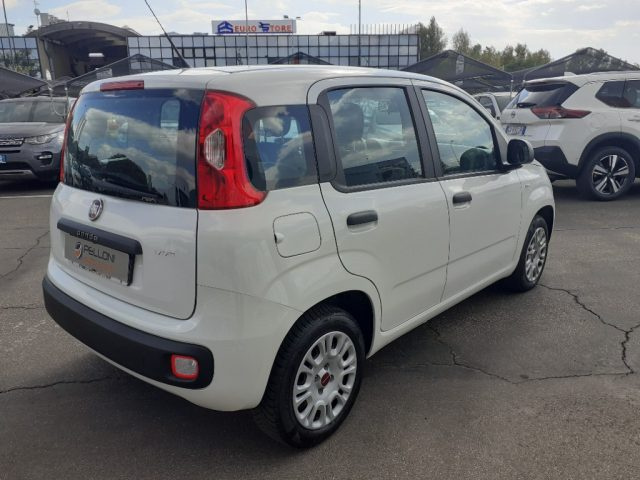 FIAT Panda 1.2 X NEOPATENTATI - GARANZIA - KM CERTIFICATI Immagine 4