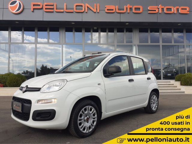 FIAT Panda 1.2 X NEOPATENTATI - GARANZIA - KM CERTIFICATI Immagine 0