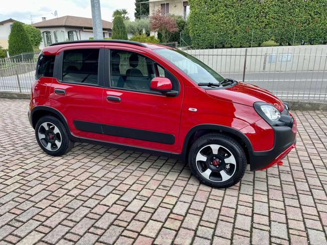 FIAT Panda Cross 1.0 FireFly S&S Hybrid - KM0 Immagine 2