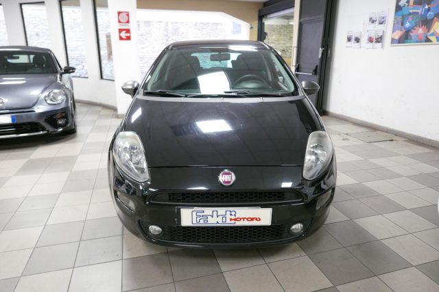 FIAT Punto 1.4 8V 5 porte Easypower Young Immagine 1