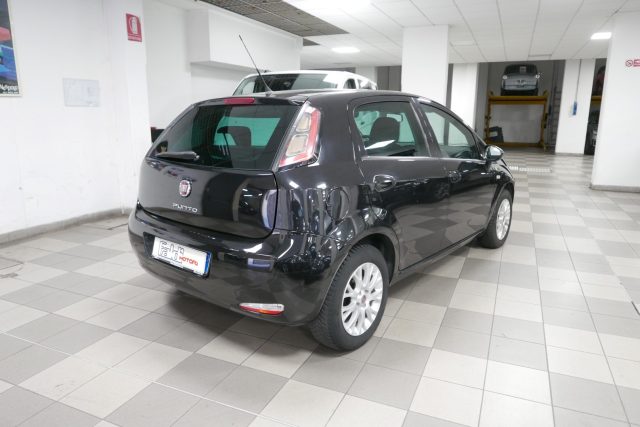 FIAT Punto 1.4 8V 5 porte Easypower Young Immagine 3