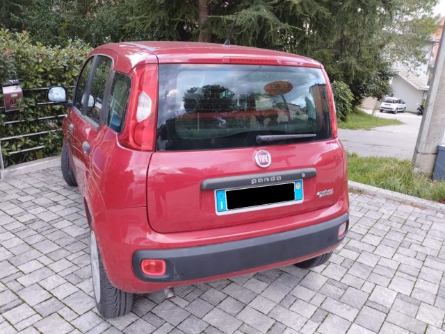 FIAT Panda 0.9 TwinAir Turbo METANO OK NEOPATENTATI Immagine 2