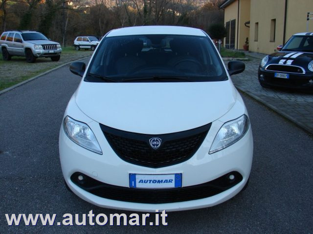 LANCIA Ypsilon 1.2 69 CV 5 porte Elefantino Blu Immagine 1