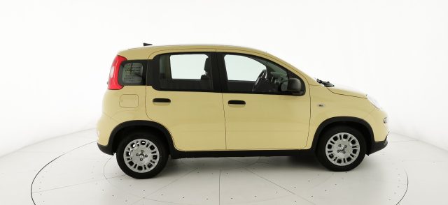 FIAT Panda 1.0 FireFly S&S Hybrid - KM ZERO Immagine 4