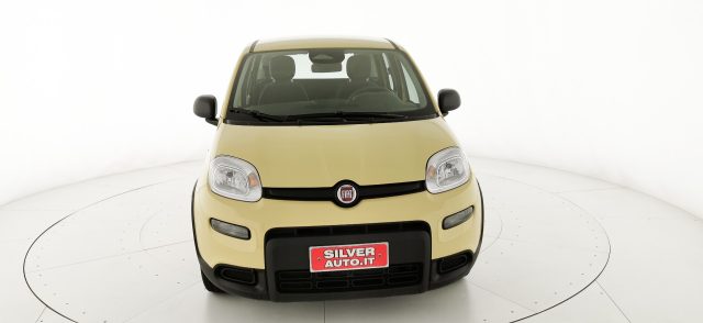 FIAT Panda 1.0 FireFly S&S Hybrid - KM ZERO Immagine 1