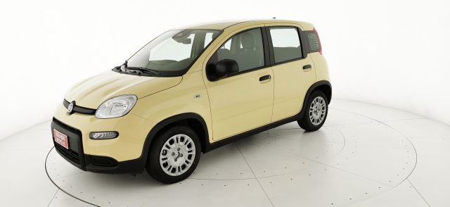 FIAT Panda 1.0 FireFly S&S Hybrid - KM ZERO Immagine 2